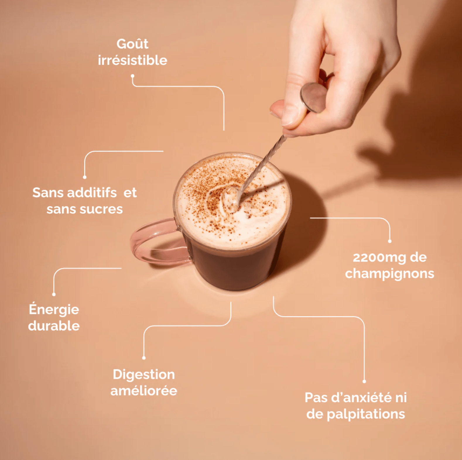 Café adaptogène Bonjour - Farfelue