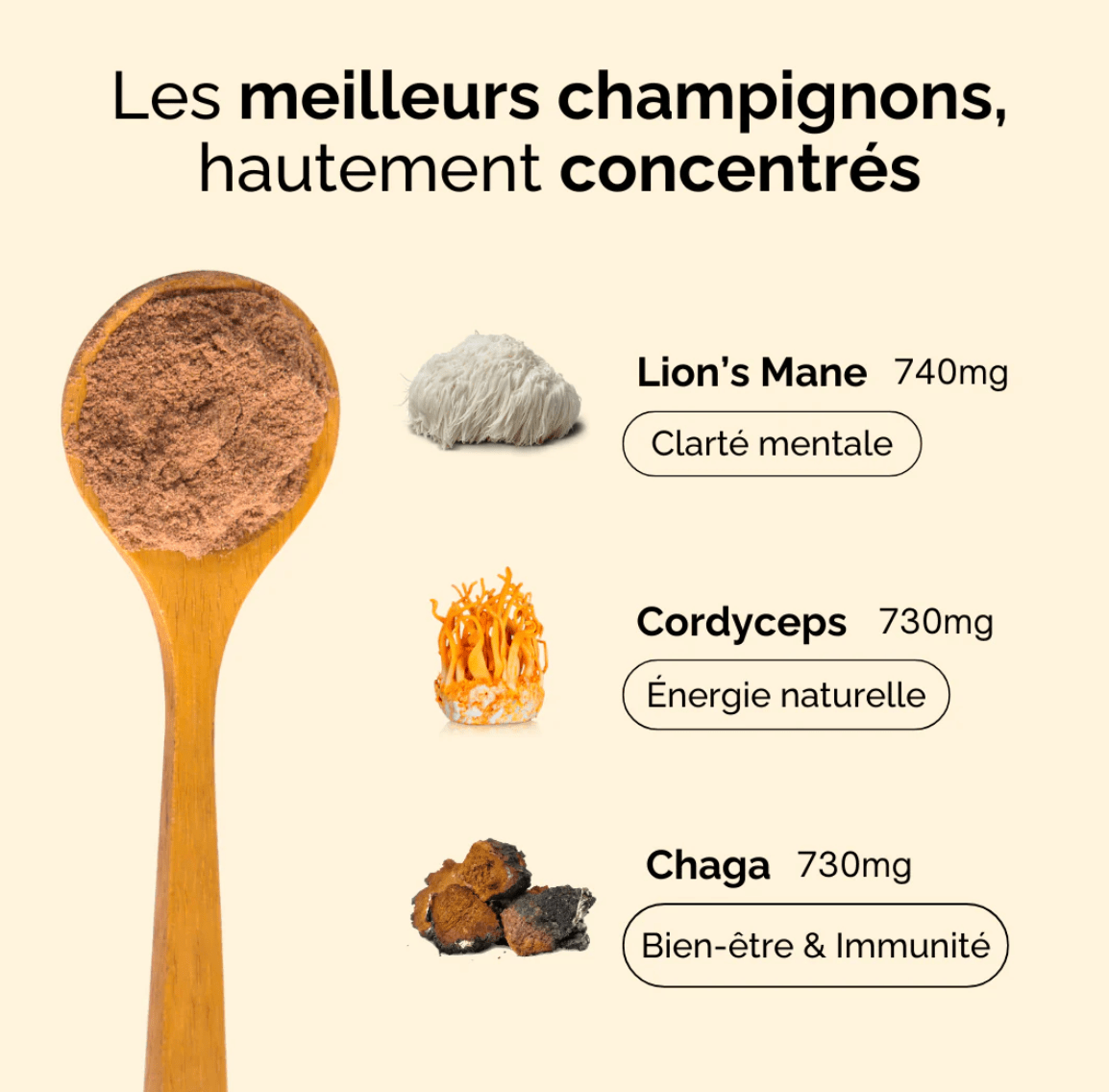 Café adaptogène Bonjour - Farfelue